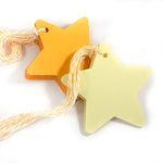 Blank Star Shaped Tags with Twine